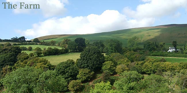 hangingheld farm